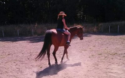 Mindful Horsemanship