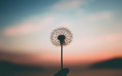 Mindfulness Is Not the Same as Passivity.